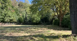 von_poll_real_estate_property_25029017_image_1