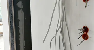 von_poll_real_estate_property_CC25224A032_online_image_4