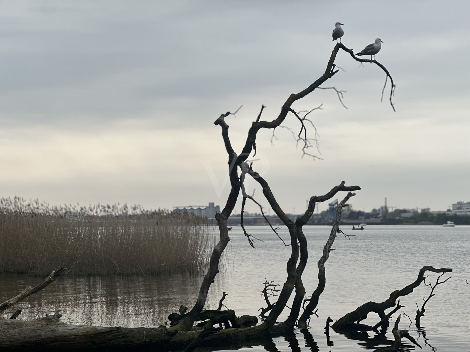 Impressionen Warnow