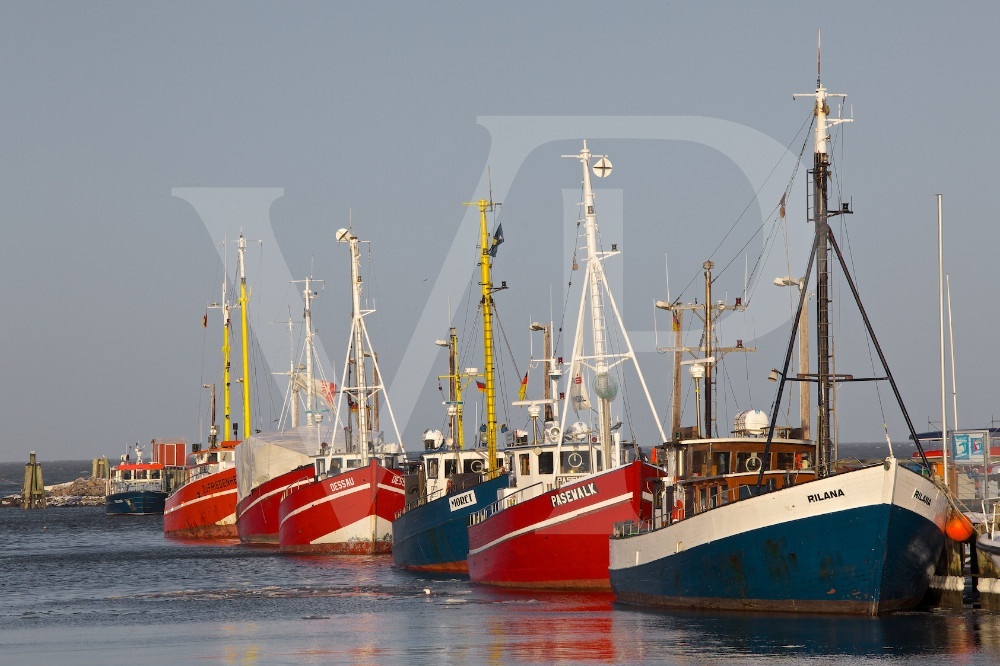 Boote