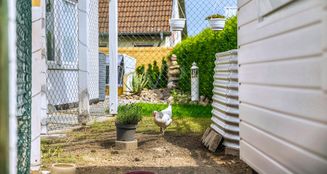 von_poll_real_estate_property_25092030_image_10
