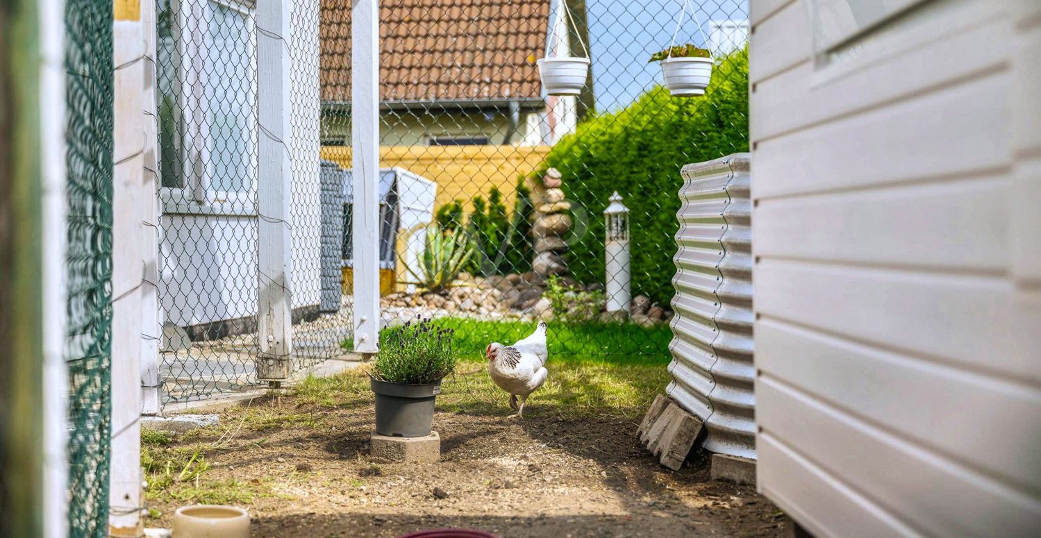 Hühnerstall