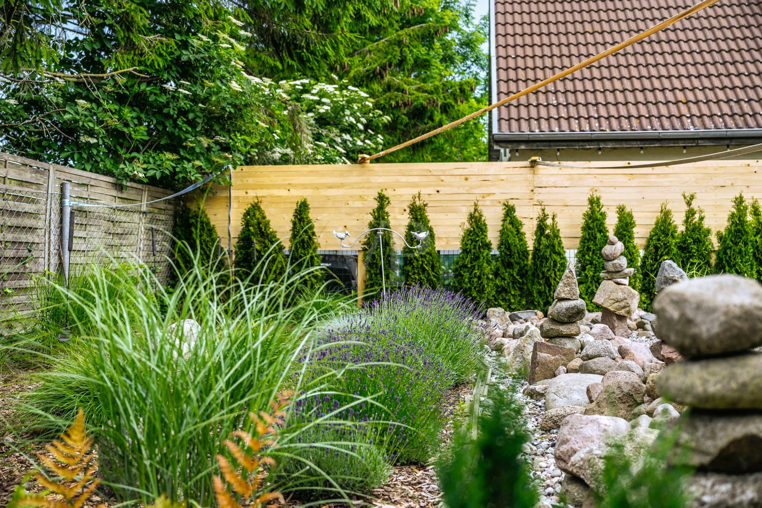 Blick in den Garten