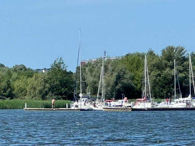 Bezugsfertiger Lebenstraum mit maritimen Flair I modern-ökologisches Architektenhaus am Wasser