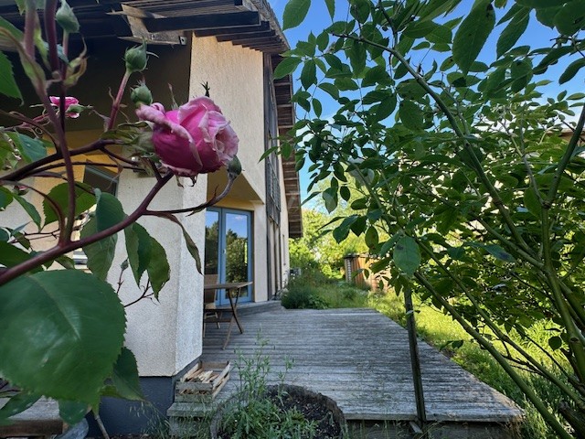 Südterrasse