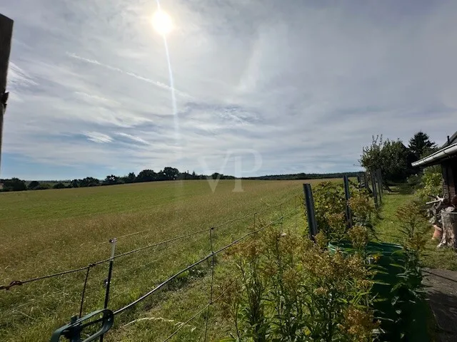 Ausblick Richtung Kühlung