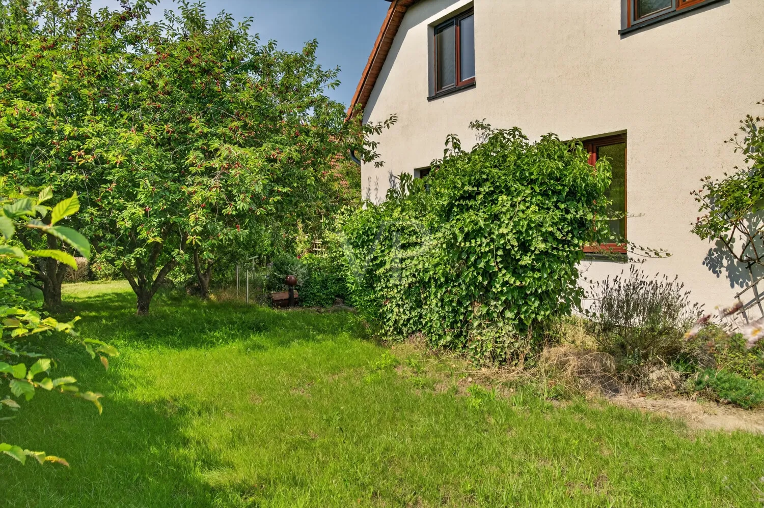 grüner Garten