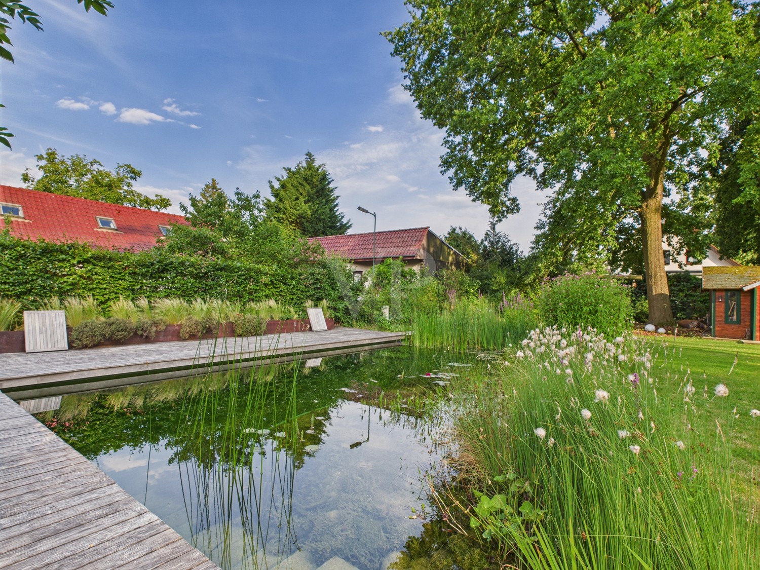 Schwimmteich