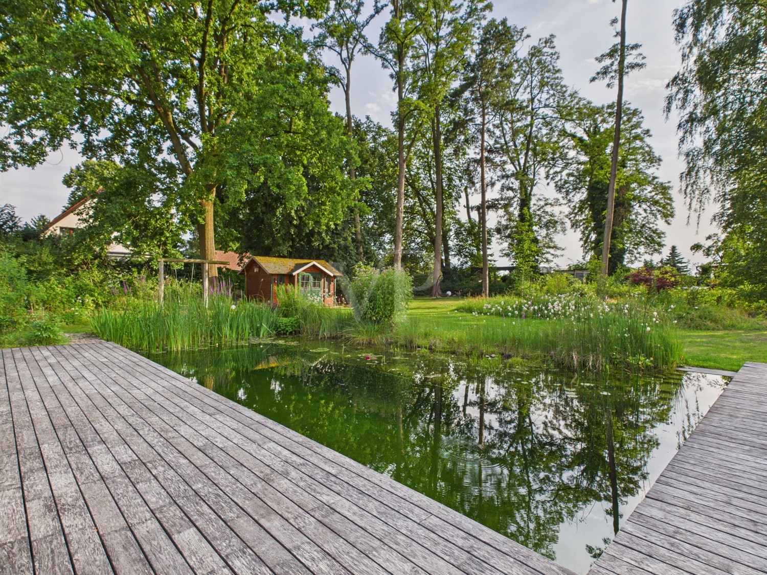 Schwimmteich