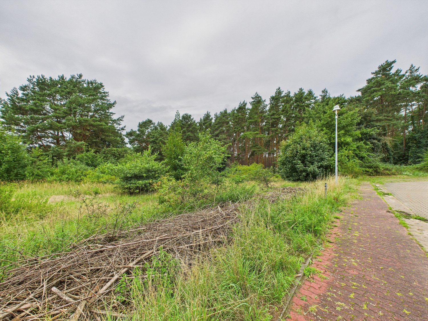 Nordansicht