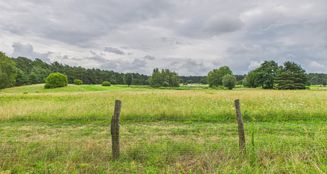 von_poll_real_estate_property_20206015_image_4