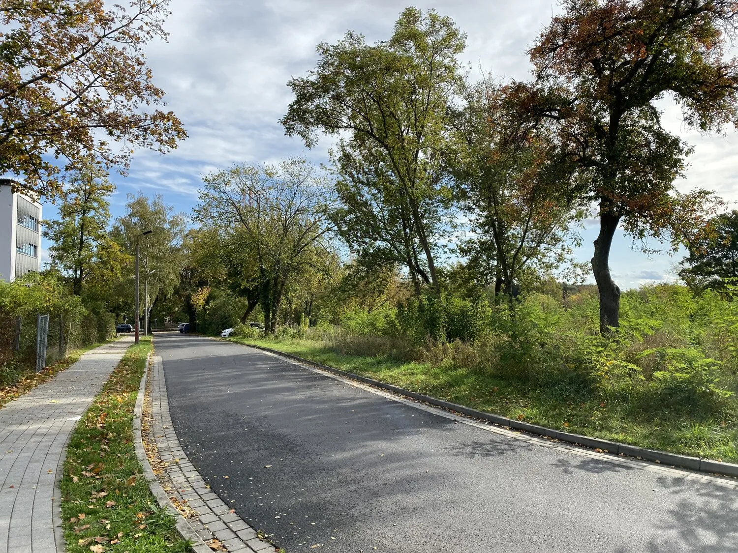 Blick Richtung Osten / Bahn