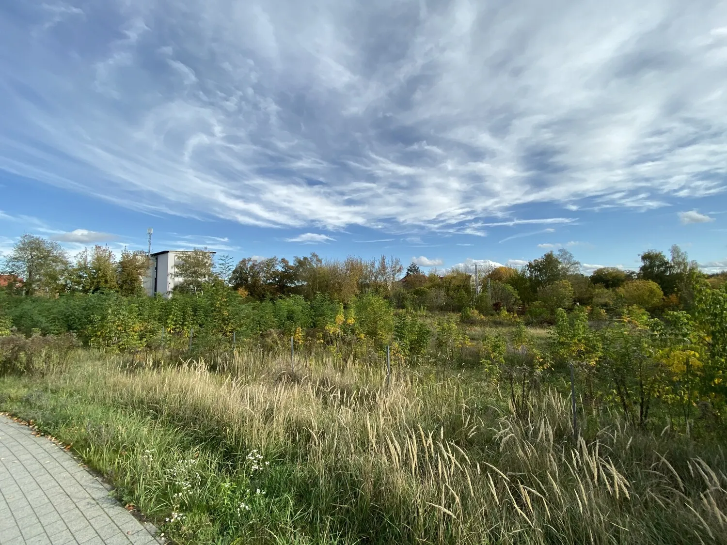 Blick Richtung Norden / TH Wildau