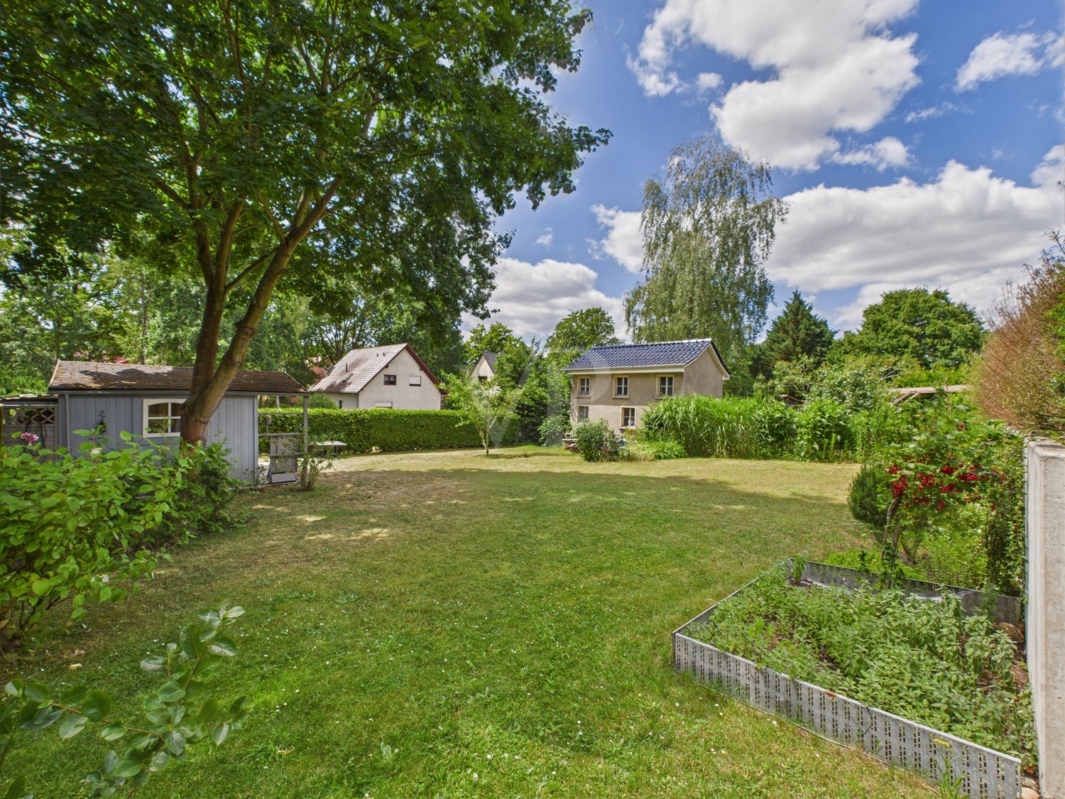 Blick in den Garten
