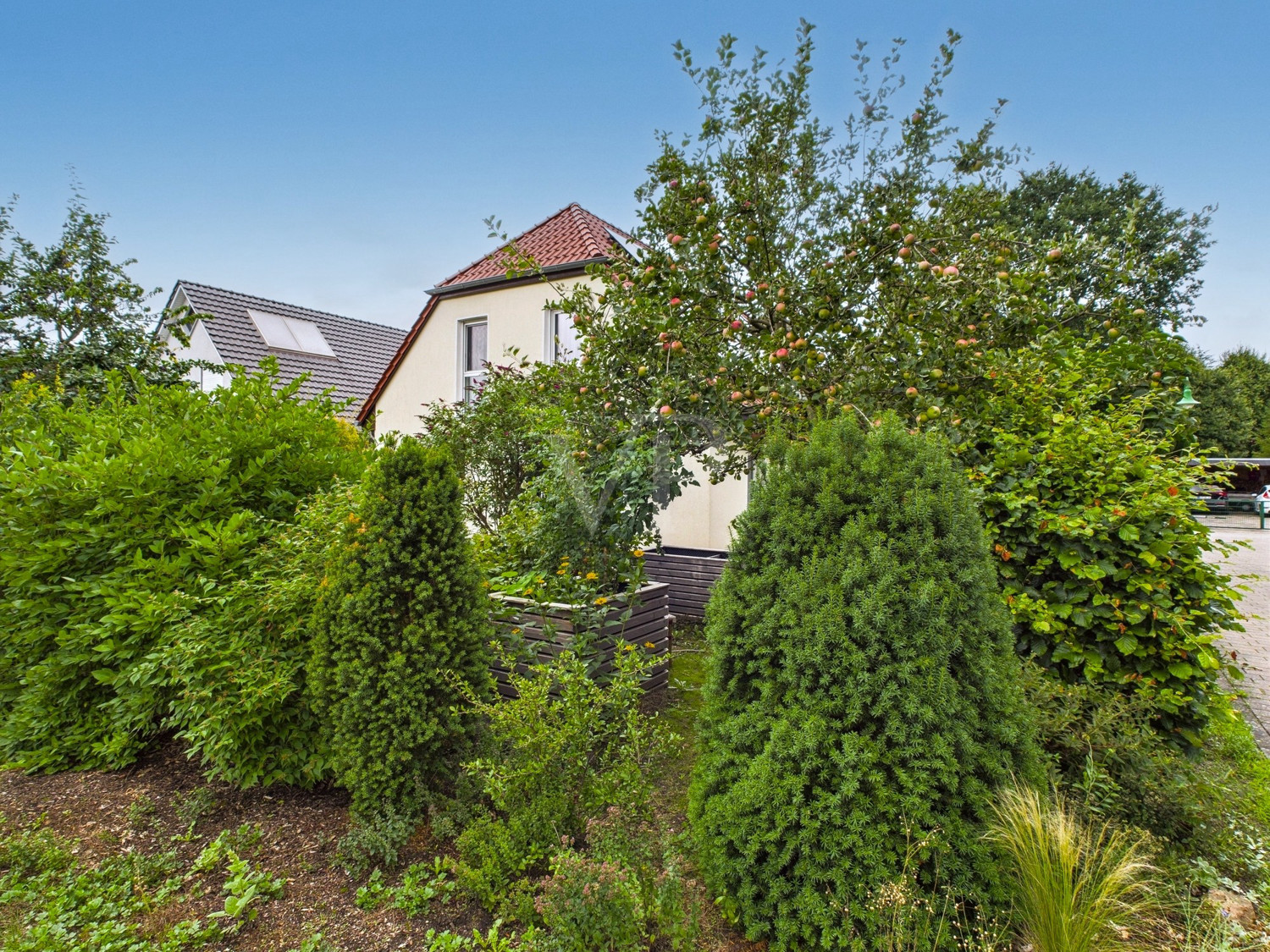 Garten mit Obstbäumen