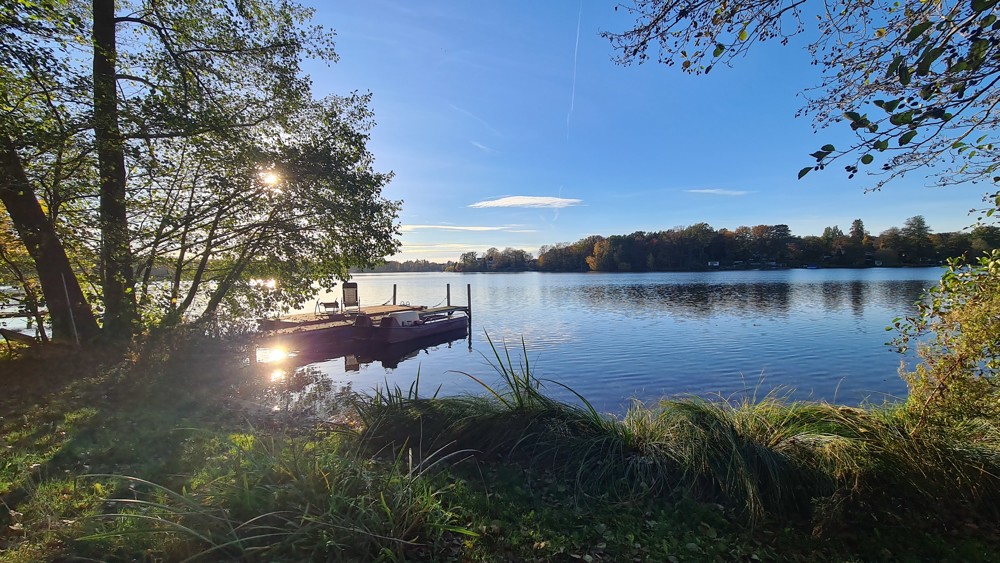 Sommerimpressionen-Ufer und Steg