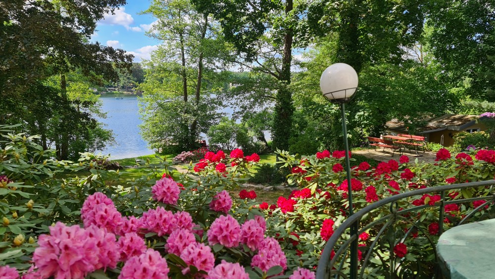 Sommerimpression - Garten mit Blick zum See
