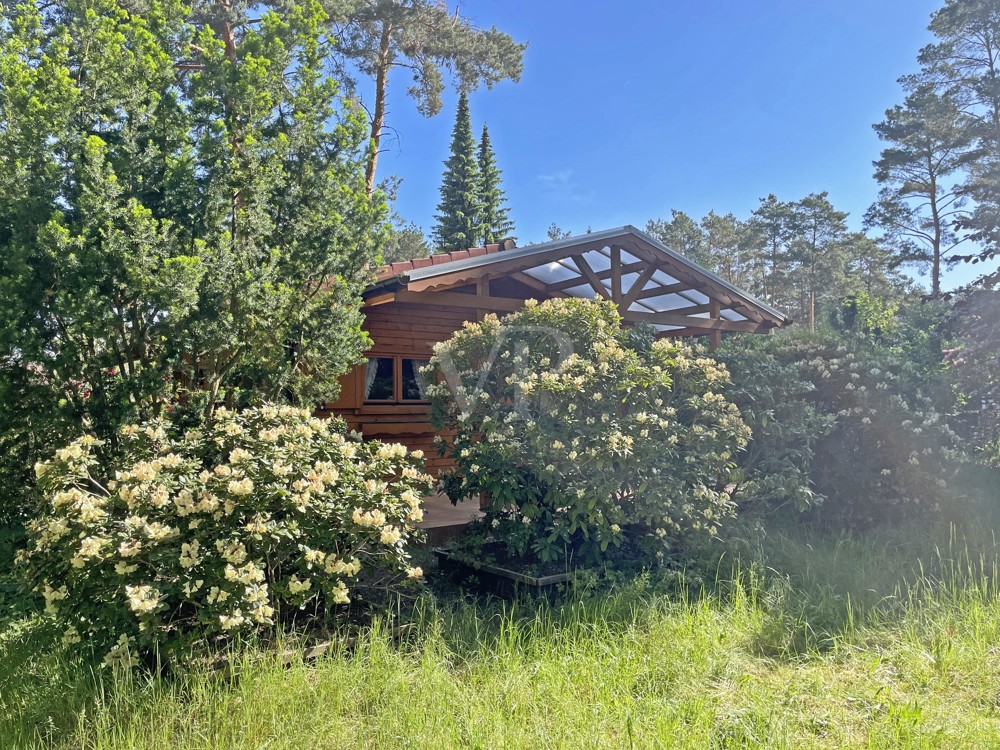 Blick auf die Terrasse