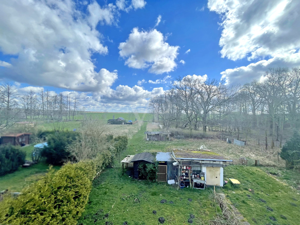 Blick von oben in den Garten