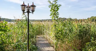 von_poll_real_estate_property_23206066_image_10