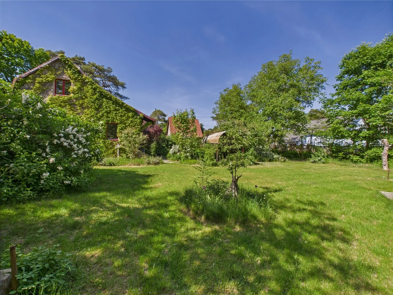 Gartenansicht mit Haus