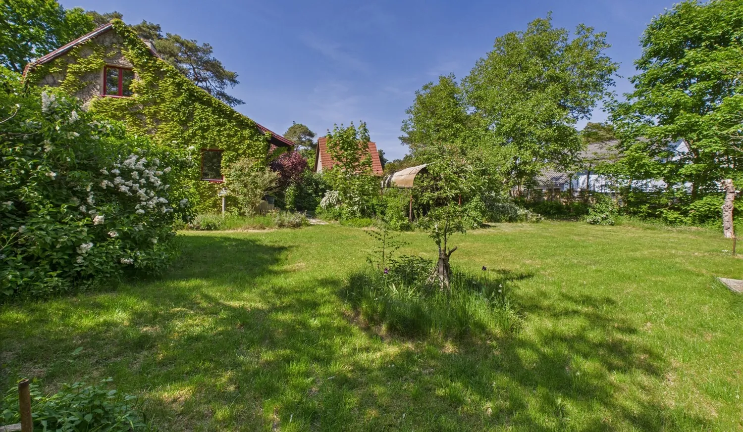 Gartenansicht mit Haus