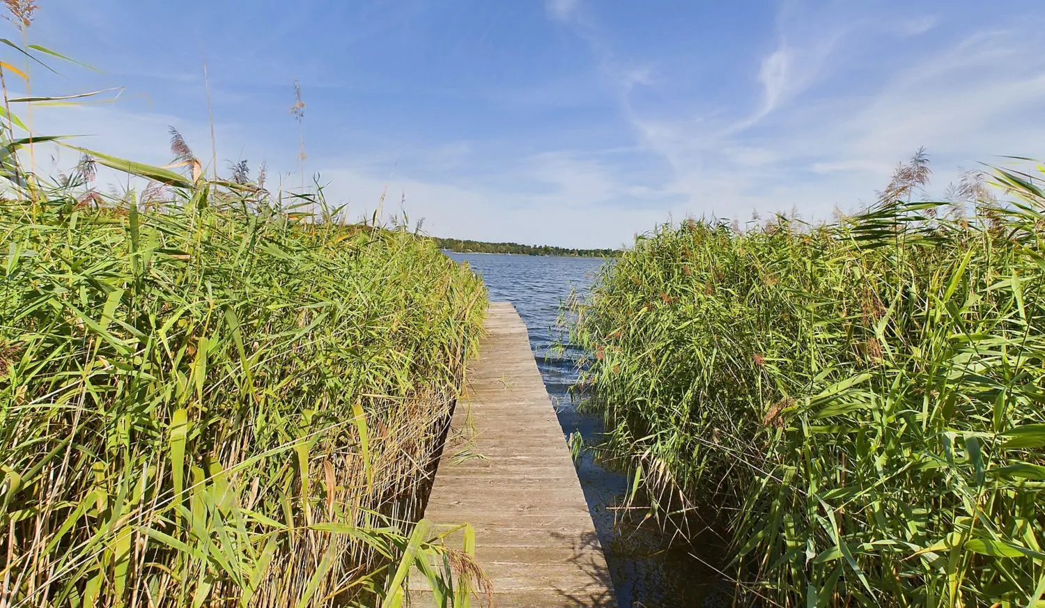 Blick auf den Steg und den Schweriner See