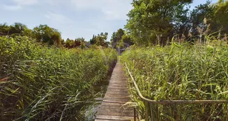 von_poll_real_estate_property_24206043_image_12