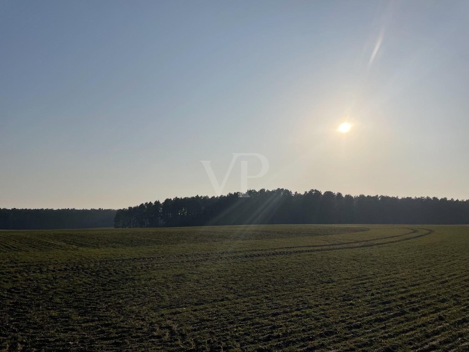 Landwirtschaftsfläche Wallitz