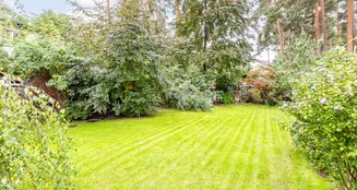 von_poll_real_estate_property_25206071_image_2