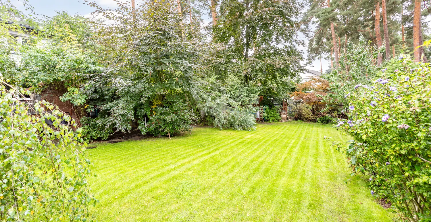 Blick in den Garten