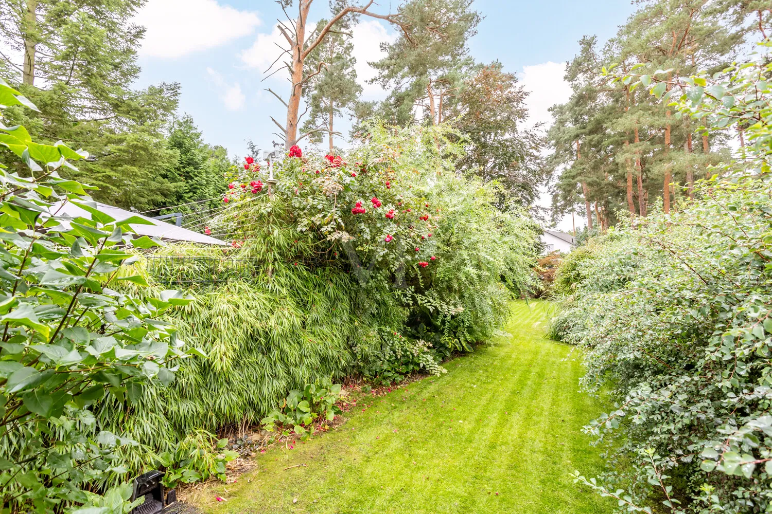 Blick in den Garten hinter dem Carport