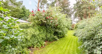 von_poll_real_estate_property_25206071_image_1