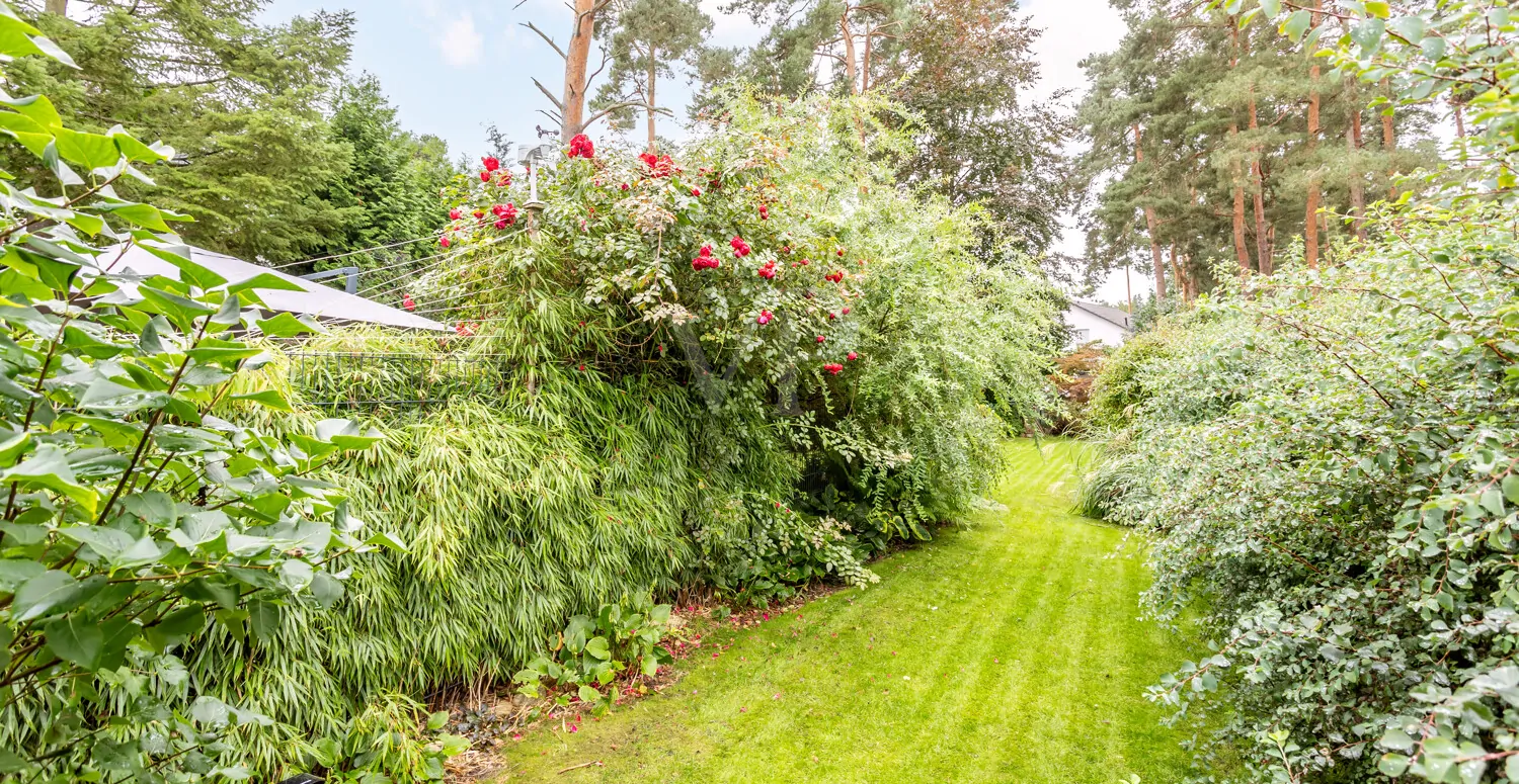 Blick in den Garten hinter dem Carport