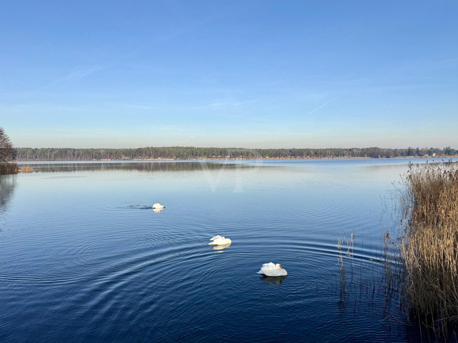 Schweriner See