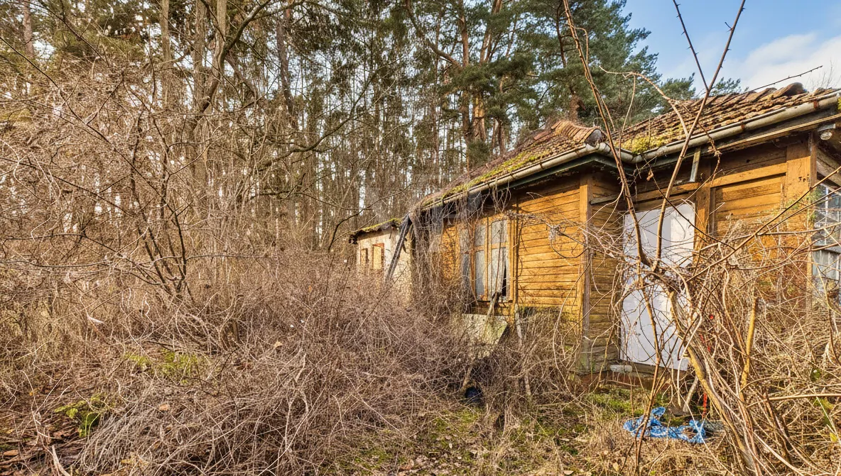Bestandsbungalow vor Naturschutzgebiet