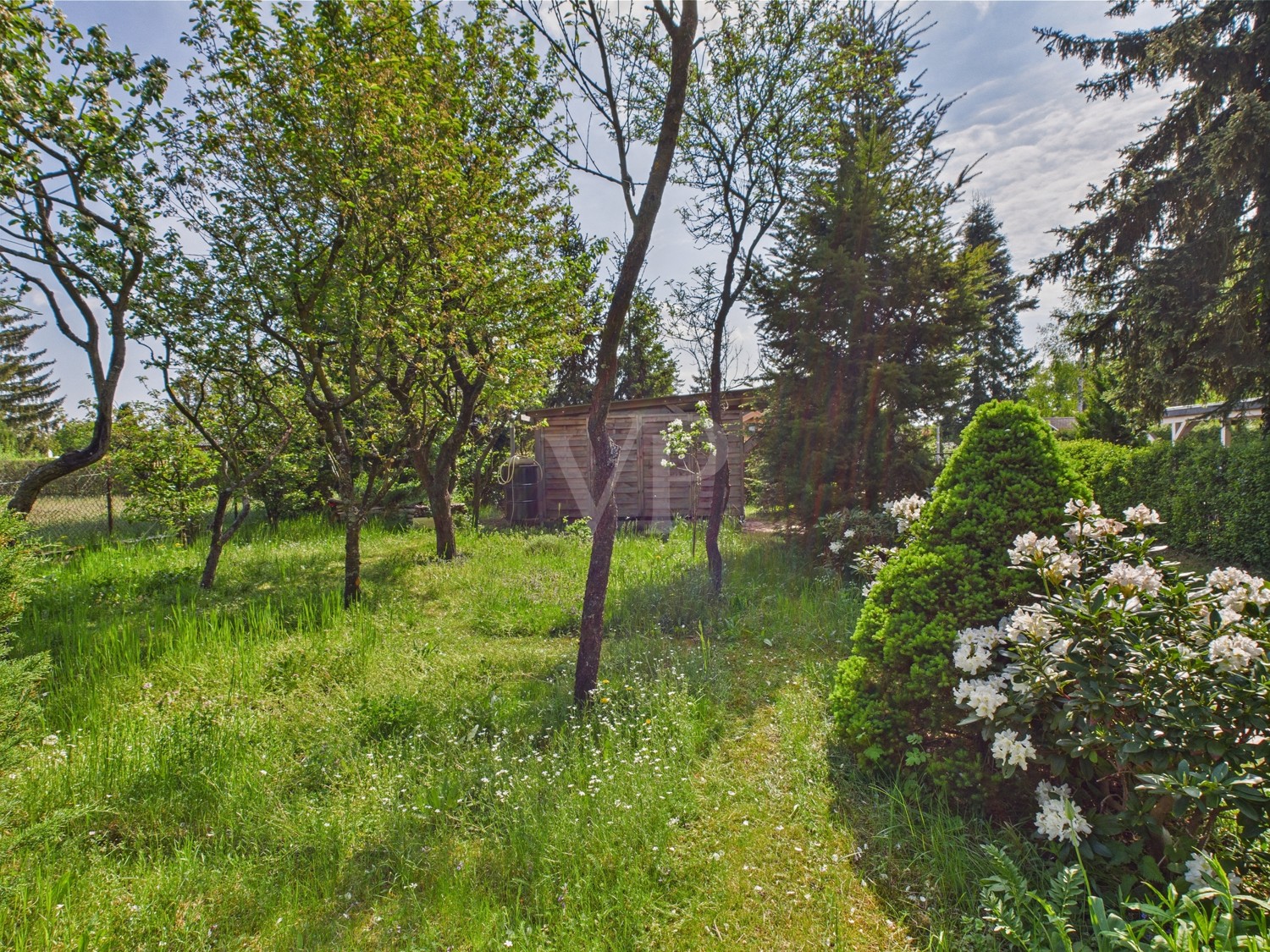 Garten mit Ziersträuchern und Heckenbewuch