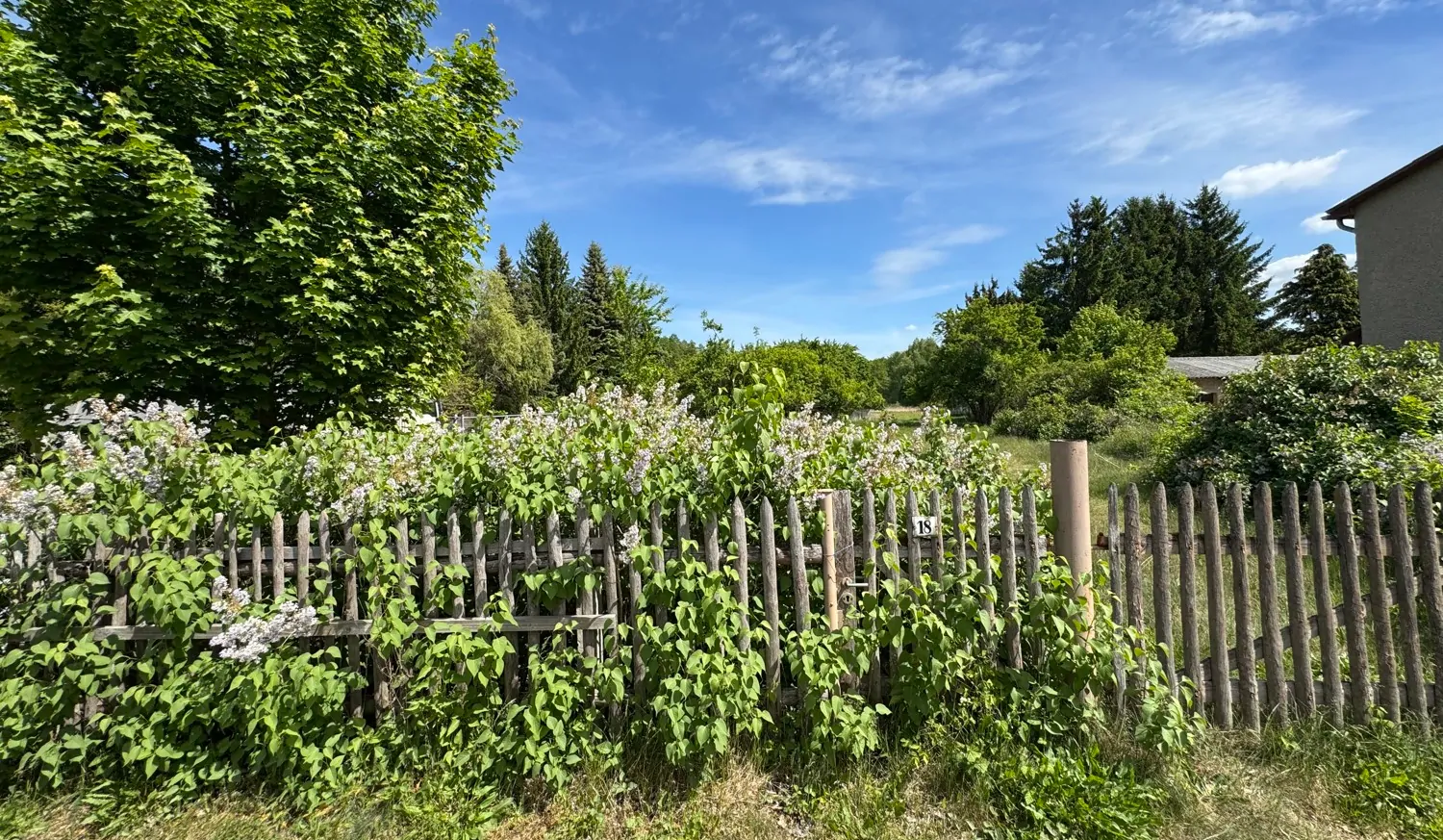 Blick von der Straße