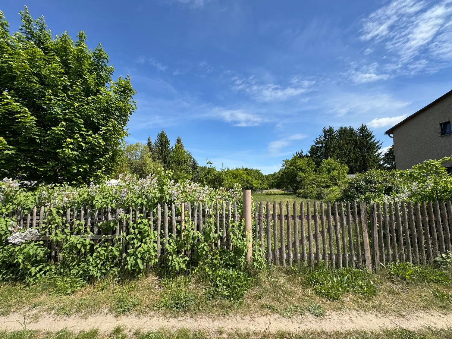 Blick von der Straße