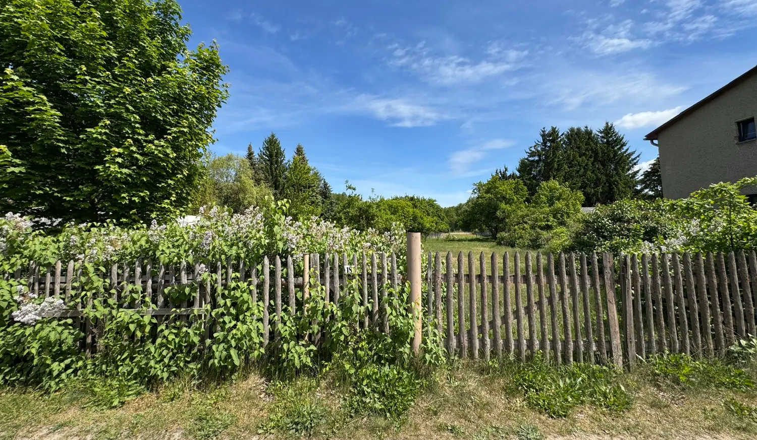 Blick von der Straße