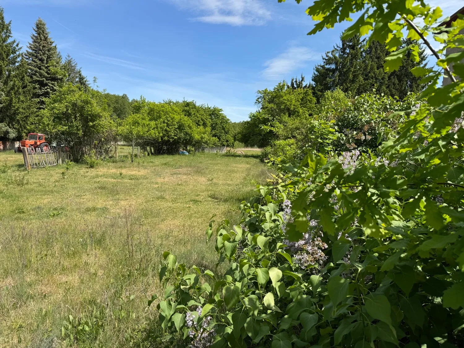 Blick von der Straße