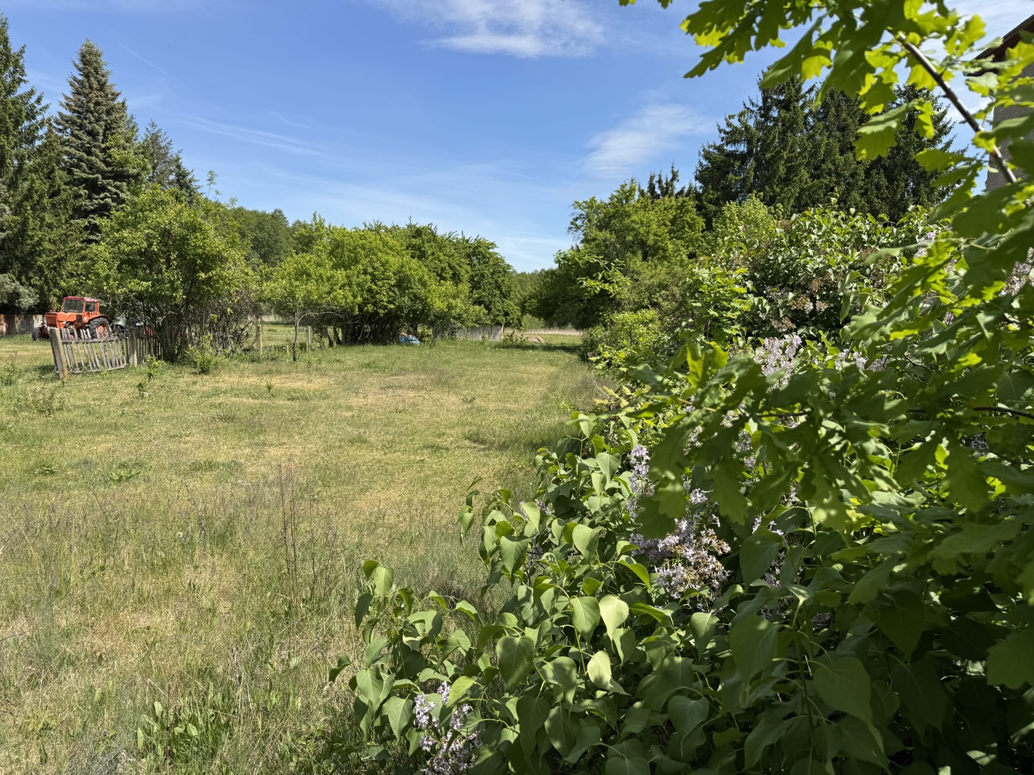 Blick von der Straße