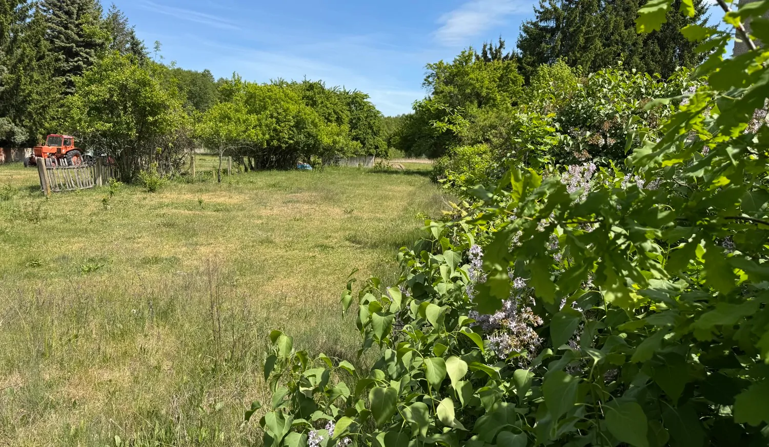 Blick von der Straße