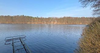 von_poll_real_estate_property_25016003_A_image_0