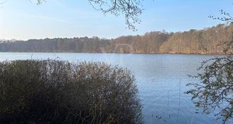 von_poll_real_estate_property_25016003_A_image_8
