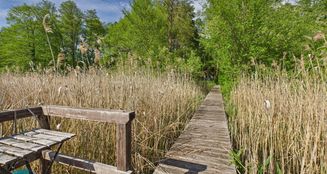 von_poll_real_estate_property_25206035_image_2