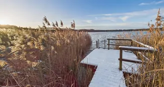 von_poll_real_estate_property_25206035_image_0