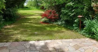 von_poll_real_estate_property_25206035_image_5