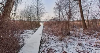 von_poll_real_estate_property_25206035_image_1