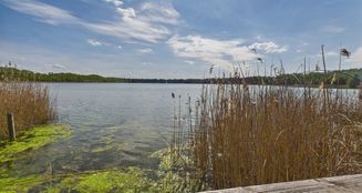 von_poll_real_estate_property_25206035_image_0